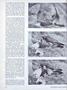 Page: - 24 | Dartmouth Alumni Magazine