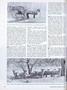 Page: - 18 | Dartmouth Alumni Magazine