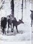Page: - 14 | Dartmouth Alumni Magazine