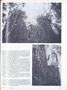 Page: - 27 | Dartmouth Alumni Magazine