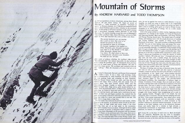 Mountain of Storms