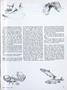 Page: - 39 | Dartmouth Alumni Magazine