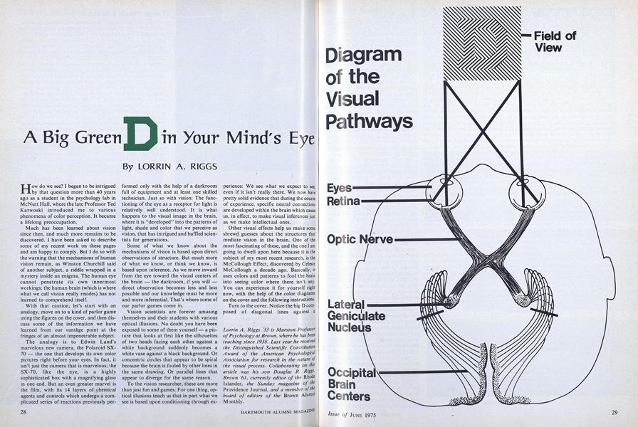 A Big Green D in Your Mind's Eye