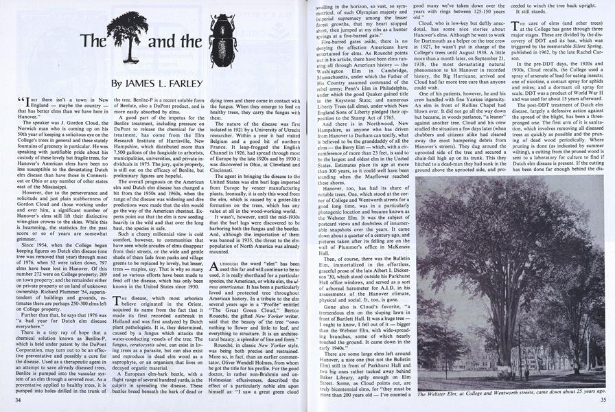 The and the