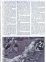 Page: - 39 | Dartmouth Alumni Magazine