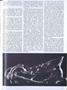 Page: - 19 | Dartmouth Alumni Magazine