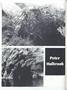 Page: - 40 | Dartmouth Alumni Magazine