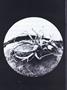 Page: - 24 | Dartmouth Alumni Magazine
