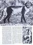Page: - 27 | Dartmouth Alumni Magazine
