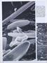 Page: - 38 | Dartmouth Alumni Magazine