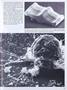 Page: - 39 | Dartmouth Alumni Magazine