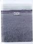 Page: - 21 | Dartmouth Alumni Magazine
