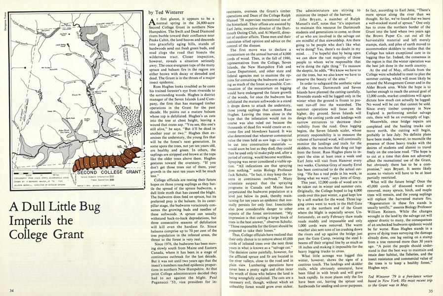 A Dull Little Bug Imperils the College Grant