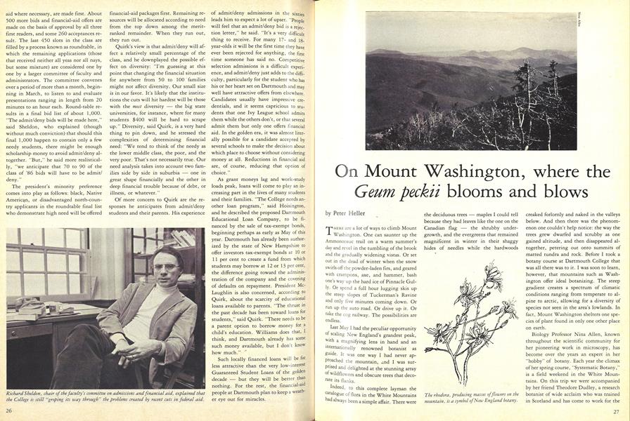 On Mount Washington, where the Geum Peckii blooms and blows