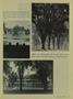 Page: - 37 | Dartmouth Alumni Magazine