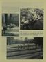 Page: - 39 | Dartmouth Alumni Magazine