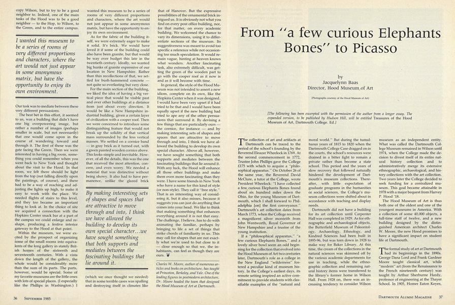 From "a few curious Elephants Bones" to Picasso