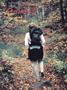 Page: - C1 | Dartmouth Alumni Magazine