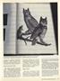 Page: - 49 | Dartmouth Alumni Magazine