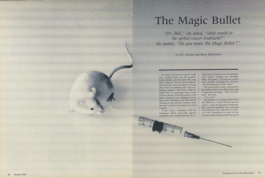 The Magic Bullet