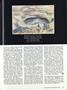 Page: - 29 | Dartmouth Alumni Magazine