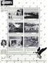 Page: - 93 | Dartmouth Alumni Magazine