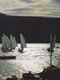 Page: - 25 | Dartmouth Alumni Magazine