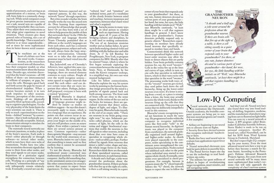 Low-IQ Computing