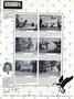 Page: - 77 | Dartmouth Alumni Magazine