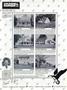 Page: - 77 | Dartmouth Alumni Magazine