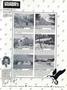 Page: - 77 | Dartmouth Alumni Magazine