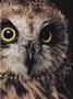 Page: - 17 | Dartmouth Alumni Magazine