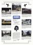 Page: - 81 | Dartmouth Alumni Magazine