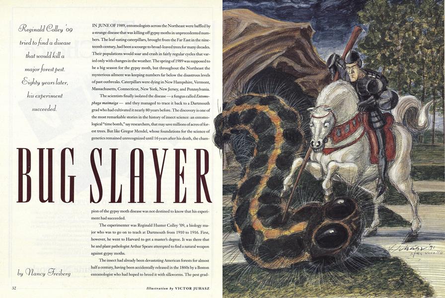 BUG SLAYER