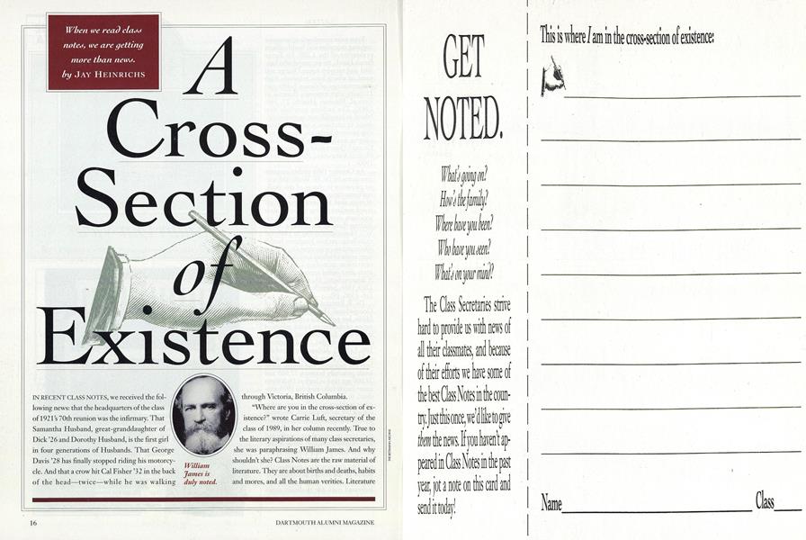 A Cross Section of Existence
