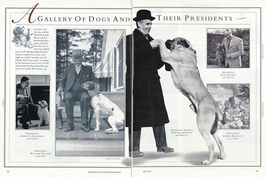 A Gallery Of Dogs And Their Presidents