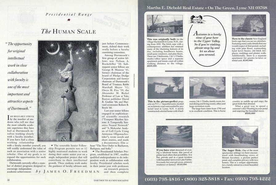 The Human Scale