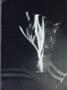 Page: - 21 | Dartmouth Alumni Magazine