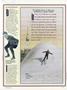 Page: - 19 | Dartmouth Alumni Magazine