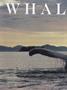 Page: - 16 | Dartmouth Alumni Magazine