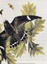 Page: - 23 | Dartmouth Alumni Magazine