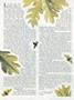 Page: - 24 | Dartmouth Alumni Magazine