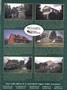 Page: - 81 | Dartmouth Alumni Magazine