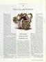 Page: - 46 | Dartmouth Alumni Magazine