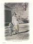 Page: - 29 | Dartmouth Alumni Magazine