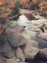 Page: - 45 | Dartmouth Alumni Magazine