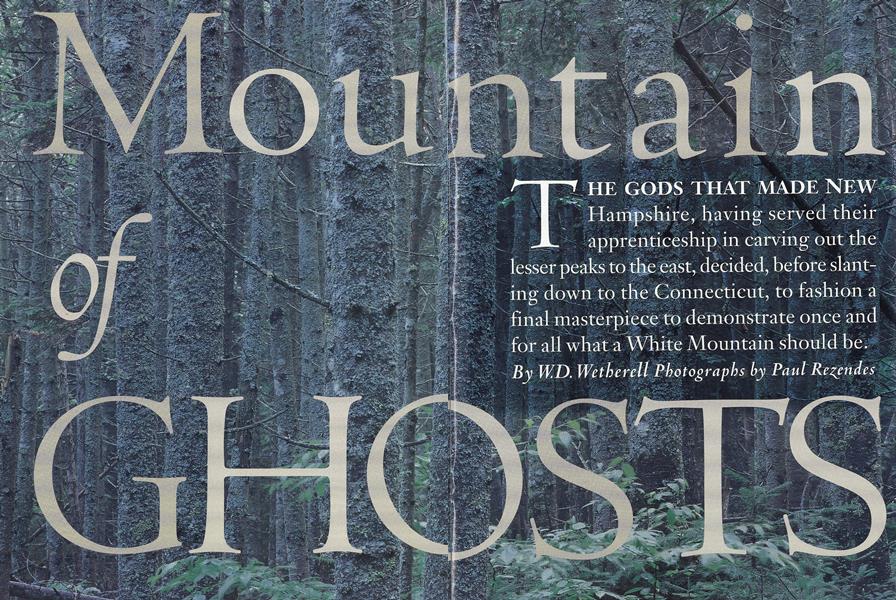 Mountain of Ghosts