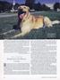 Page: - 38 | Dartmouth Alumni Magazine