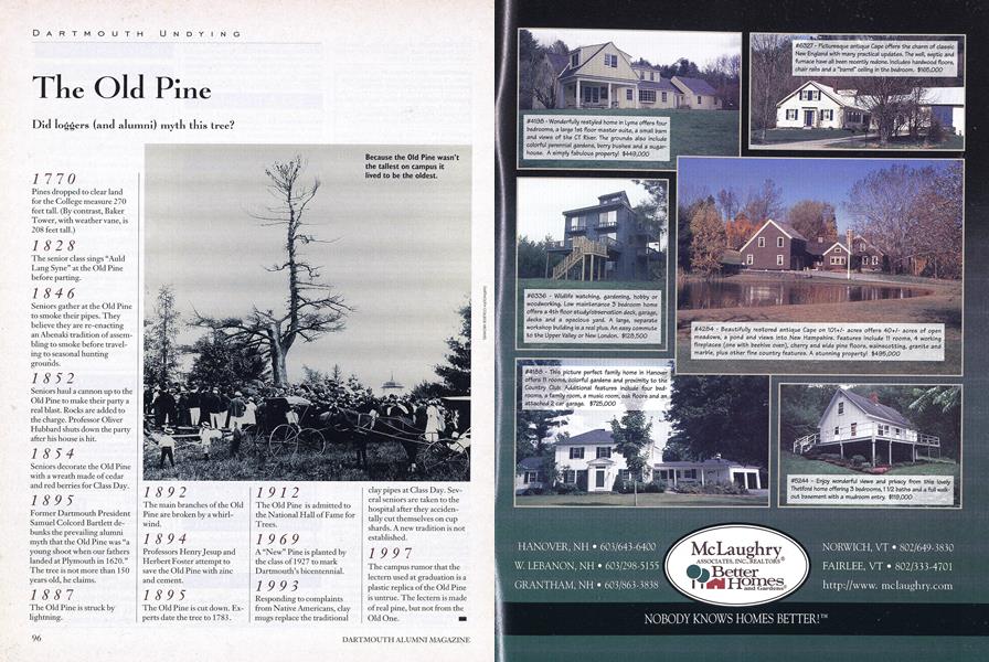 The Old Pine