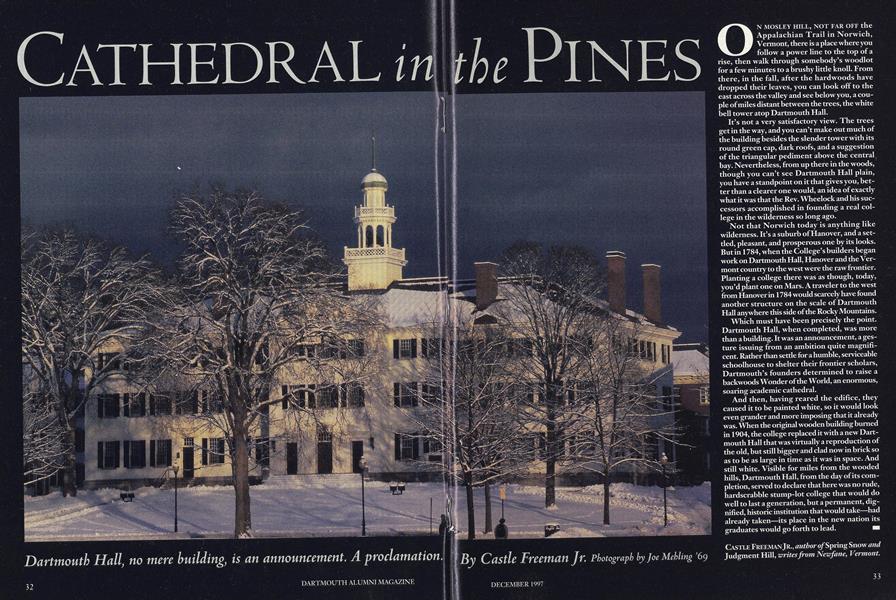 Cathedral in THE PINES